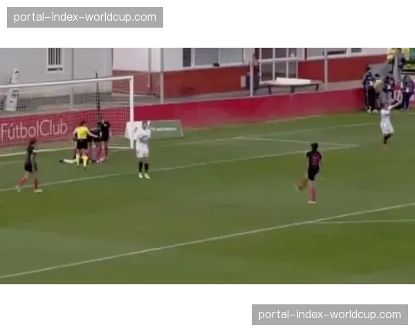 暖心一幕：两队球员暂停比赛，合力将闯入球场的小狗护送出边线